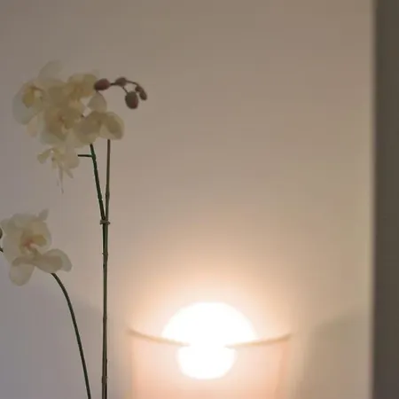 Pareado Con Jardin Privado En Urbanizacion 4* Dénia