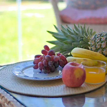Pareado Con Jardin Privado En Urbanizacion Dénia